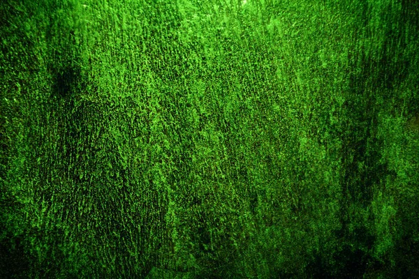 Yeşil desenli grungy arkaplan