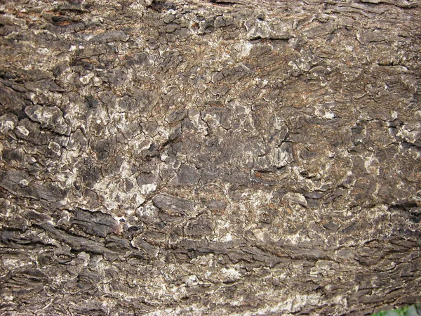 Текстура Породы Каменная Поверхность — стоковое фото