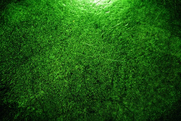 Zelené Texturované Grungy Pozadí — Stock fotografie