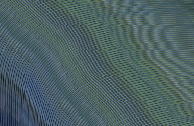 Kopya alanı ile arkaplan için renkli gradyan, geometrik desen 