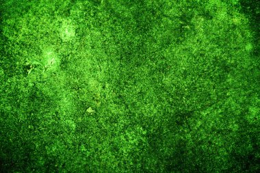 Yeşil desenli grungy arkaplan