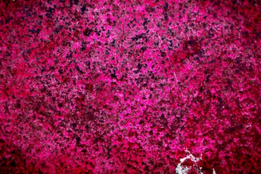 Pembe ve Kırmızı Metal Doku Yüzey Arkaplanı