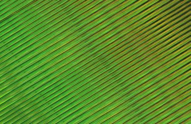 Kopya alanı ile arkaplan için renkli gradyan, geometrik desen 