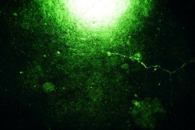 Yeşil desenli grungy arkaplan