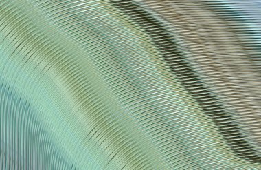 soyut çizgili doku, dijital duvar kağıdı