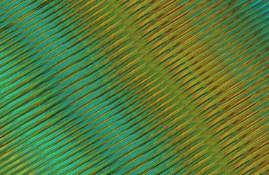 soyut renkli doku arkaplanı, uzay duvar kağıdını kopyala 