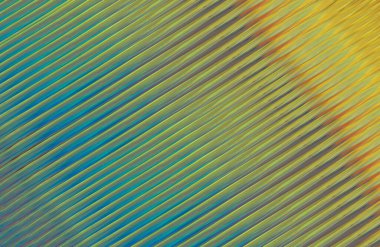 Geometrik desenli bir arkaplan tasarla 