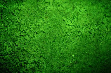 Yeşil desenli grungy arkaplan