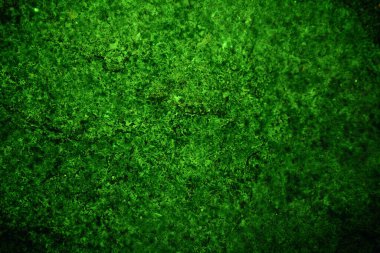 Yeşil desenli grungy arkaplan