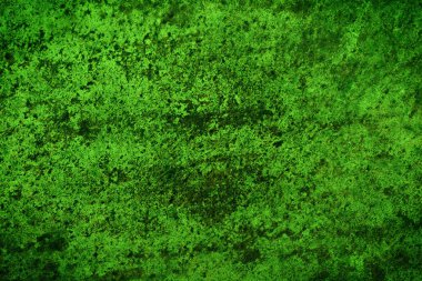 Yeşil desenli grungy arkaplan