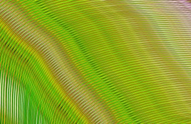 Arkaplan için renkli gradyan, geometrik desen