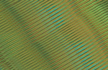 Geometrik desenli bir arkaplan tasarla 