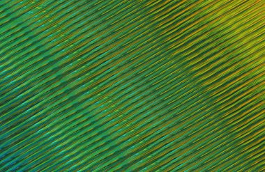 soyut renkli doku arkaplanı, uzay duvar kağıdını kopyala 