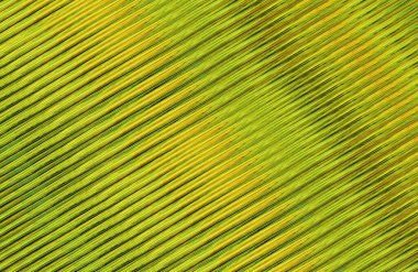 soyut renkli doku arkaplanı, uzay duvar kağıdını kopyala 