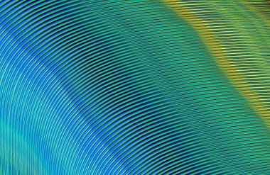 Kopya alanı ile arkaplan için renkli gradyan, geometrik desen 