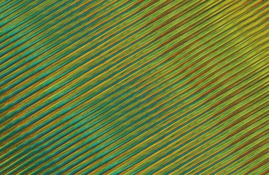 Geometrik desenli bir arkaplan tasarla 