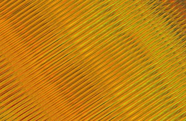 Arkaplan için renkli gradyan, geometrik desen