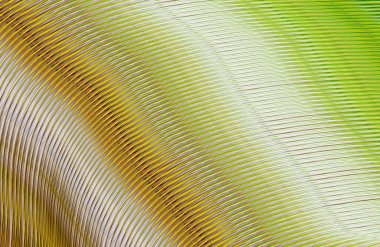 soyut çizgili doku, dijital duvar kağıdı