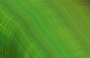 soyut çizgili doku, dijital duvar kağıdı