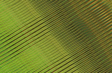 Geometrik desenli bir arkaplan tasarla 