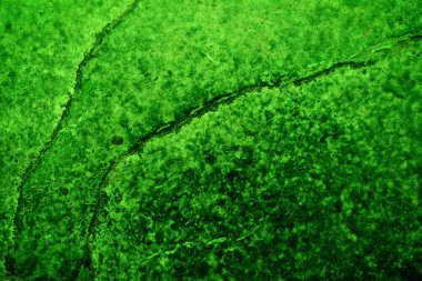 Yeşil desenli grungy arkaplan