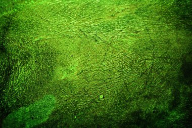 Yeşil desenli grungy arkaplan