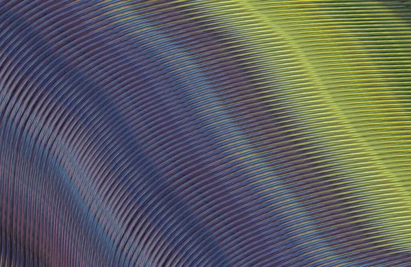 Textura Rayada Abstracta Fondo Pantalla Digital — Foto de Stock