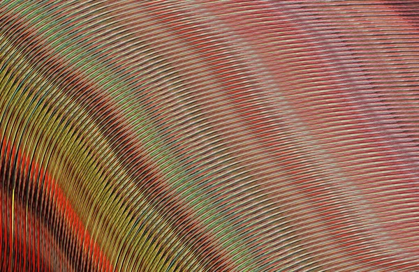 soyut çizgili doku, dijital duvar kağıdı