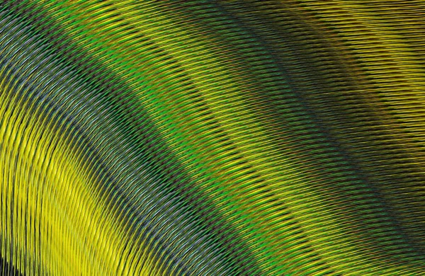 Abstract Striped Texture Digital Wallpaper — Stock Photo, Image