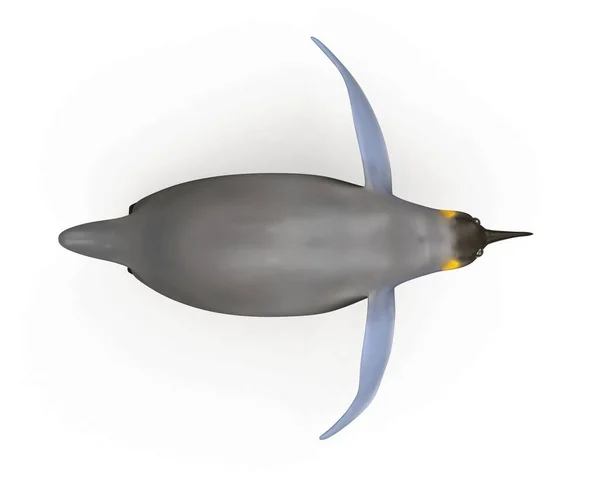 Återgivning Tecknade Pingviner — Stockfoto