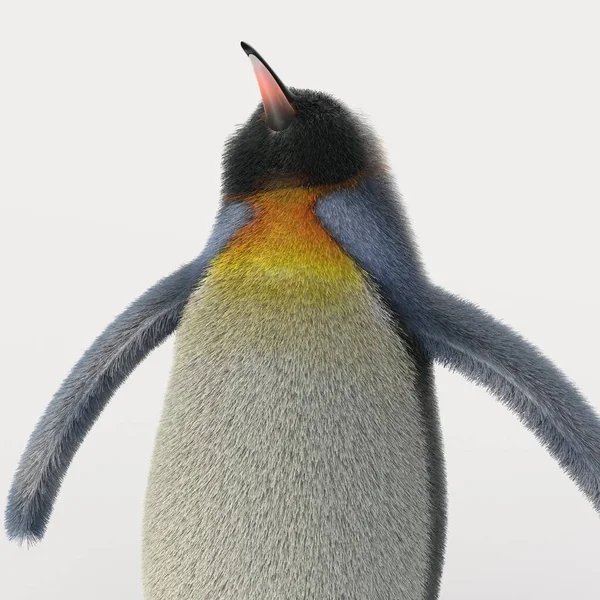 Renderizado Pingüino Dibujos Animados — Foto de Stock