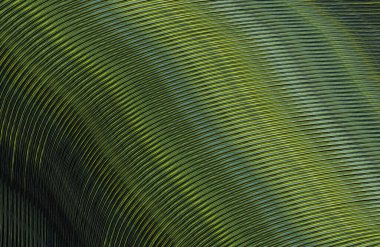 soyut çizgili doku, dijital duvar kağıdı