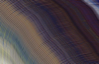 soyut çizgili doku, dijital duvar kağıdı