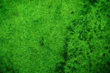Yeşil doku, soyut arkaplan