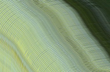 Arkaplan için renkli gradyan, geometrik desen