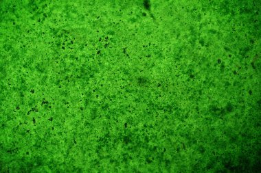 Yeşil doku, soyut arkaplan