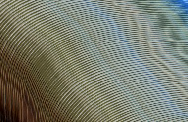 soyut çizgili doku, dijital duvar kağıdı