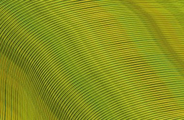 Arkaplan için renkli gradyan, geometrik desen