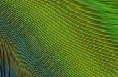 soyut çizgili doku, dijital duvar kağıdı