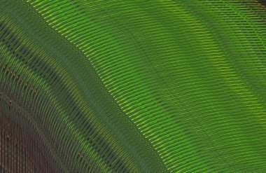 soyut çizgili doku, dijital duvar kağıdı