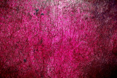 Pembe ve Kırmızı Metal Doku Yüzey Arkaplanı