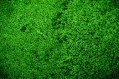 Yeşil doku, soyut arkaplan