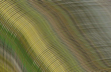 soyut çizgili doku, dijital duvar kağıdı