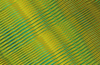 Geometrik desenli bir arkaplan tasarla 