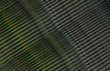 Çizgi ve çizgilerle soyut arkaplan