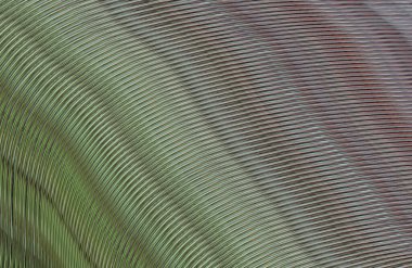 soyut çizgili doku, dijital duvar kağıdı