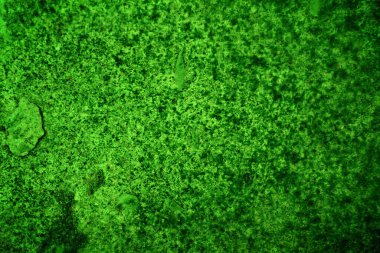 Yeşil doku, soyut arkaplan