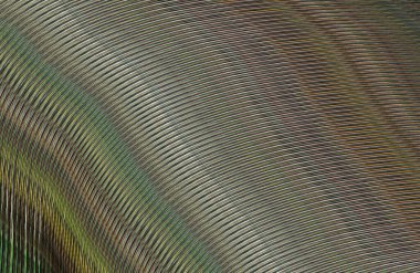 soyut çizgili doku, dijital duvar kağıdı