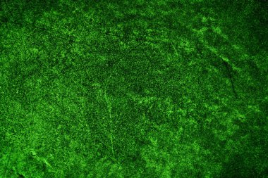 Yeşil doku, soyut arkaplan