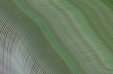 soyut çizgili doku, dijital duvar kağıdı